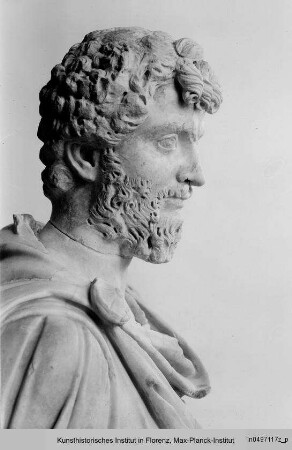 Kaiser Septimius Severus (Kopf auf nicht zugehöriger Büste) : Kaiser Septimius Severus (Kopf)