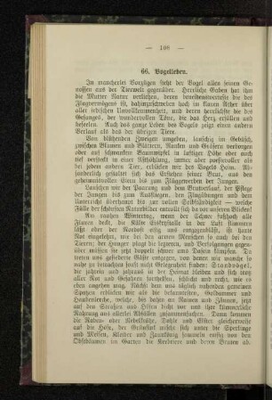 66. Vogelleben.