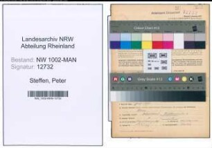 Entnazifizierung Peter Steffen , geb. 19.11.1888 (Berufberater)