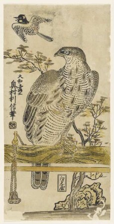 Jagdfalke und Wildvogel