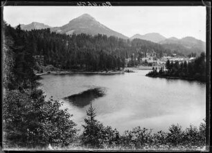 Österreich, Steiermark. Stausee an der oberen Ybbs