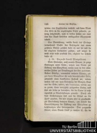 § 16. Anzucht durch Wurzelbrut.