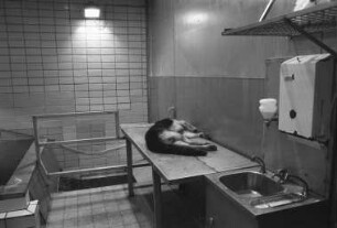Tierkörperbeseitigungsanstalt des Zweckverbands für Tierkörperbeseitigung in der Weingartenerstraße 63