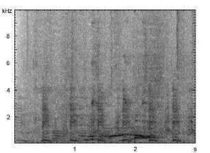 Humboldtpinguin | Spheniscus humboldti - Lautfolge, Ruf