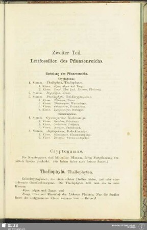 Zweiter Teil. Leitfossilien des Pflanzenreichs