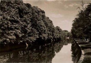 Berlin-Mitte. Der Landwehrkanal an der Potsdamer Brücke im Frühjahr zur Kastanienblüte