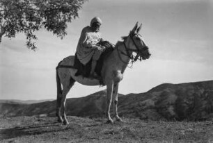 Männerportrait (Forschungsreise in die Große Kabylei 1942)