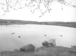 Osterzgebirge. Kleiner Galgenteich. Blick nach Ostnordost auf Altenberg
