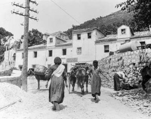 Dubrovnik, Pferde und Esel als Lasttiere