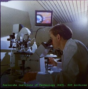 Injektion von Blastozyten an einem Mikroskop am Institut für Genetik (IGEN)