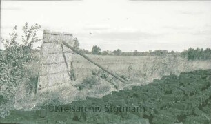 Nienwohlder Moor: Windschutzwand im Moor