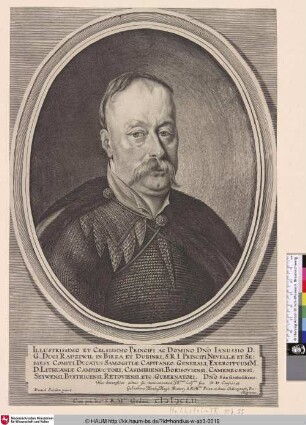 [Porträt des Janusz Radziwill]