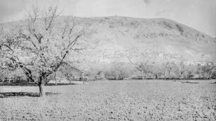 Landschaft bei Damaskus (HAPAG-Mittelmeerfahrt der Oceana Leonhardt 1929)