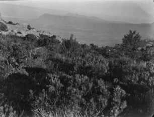 Table Mountain National Park : Felsformationen im Table Mountain National Park
