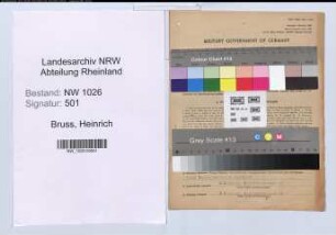 Entnazifizierung Heinrich Bruss , geb. 06.06.1903 (Kaufmann)