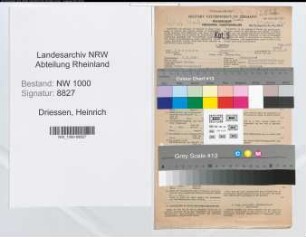Entnazifizierung Heinrich Driessen, geb. 03.02.1891 (Bankangest.)