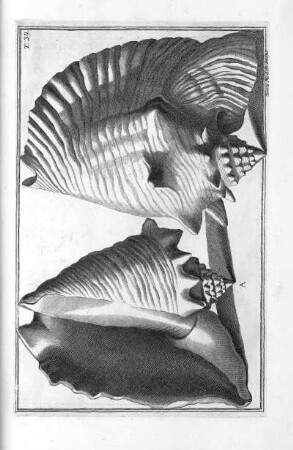 Tab. 34