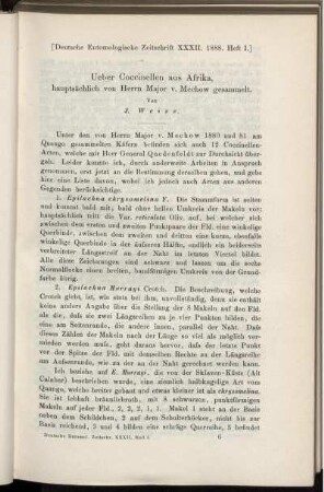 Ueber Coccinellen aus Afrika, hauptsächlich von Herrn Major v. Mechow gesammelt.
