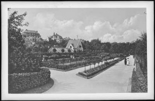 Chemnitz. Rosarium im Stadtpark