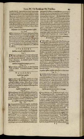 Vasallus. - Verborum Significatio In Feudis.