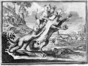 De misleide Poesjes - aus der Folge "Esopus in Europa" (Heft 39)