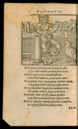 Patientia.