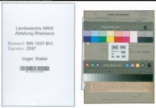 Entnazifizierung Walter Vogel , geb. 19.07.1900 (Ingenieur)