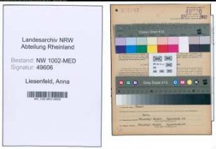 Entnazifizierung Anna Liesenfeld , geb. 01.01.1890 (Hebamme)
