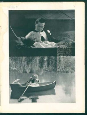 [Joan Bennett y Douglas Montgomery - Ann Harding y Robert Young]
