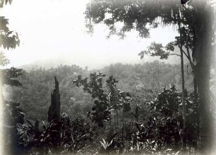 "Berghöhen von Koromira."