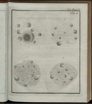 pag. 64. Tab. II.