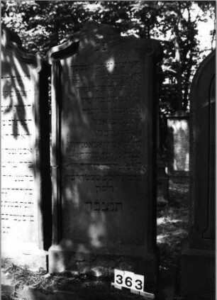 Grabstein 363 (Index: 99629864) Material: Sandstein Zustand: leicht verwitt/eine Zeile Textverlust Maße HxBxT: 159x65x14 cm Beschreibung: Stele auf Sockel mit geschwungenem Rundbogenabschluß, Schriftfeld eingetieft: Grabstein 363