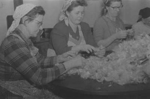 Frauen im Erzgebirge beim Federnschleißen : Erzgebirge, Frauen beim Federnschleißen