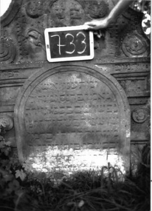 Grabstein 733 (Index: 100104783) Material: Sandstein Zustand: unten stark verwittert Maße HxBxT: 136x94x14 cm Beschreibung: Stele mit Rundbogenabschluss, unten in Voluten auslaufend, im Bogenfeld von Akanthus und Voluten eingerahmtes Medaillon, erhabenes Schriftfeld, seiliche Rahmen säulenähnlich mit mehreren kapitellartigen Abschlüssen gearbeitet, darauf Akathus- undVolutenornamente Symbolik: Medaillon, Akanthus, Voluten Besonderheit: kulturhistorisch wertvoll / hist.-wiss. Gründe (Vorsteher, Kazin): Grabstein 733 (Detailaufnahme 2)