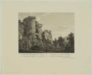 Gesprengter Turm des Heidelberger Schlosses