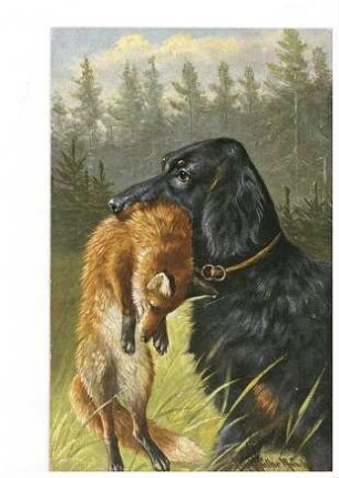 Hund mit Beute