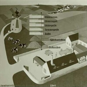 Die landwirtschaftlichen Erträgnisse Sachsens stehen mengenmäßig über dem Reichsdurchschnitt