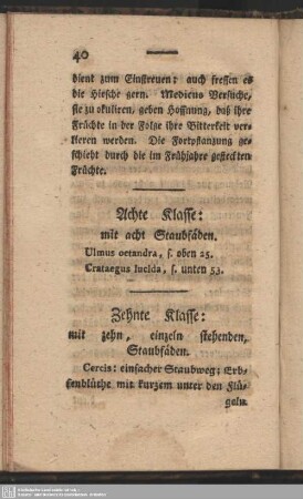 Achte Klasse: mit acht Staubfäden