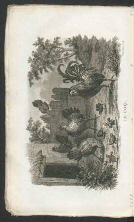 Tafel: Le coq.