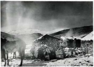 Ovejeria. Nevado de Chañi. Jujuy. Puesto der Hirten