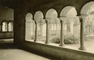 Schaffhausen. Kloster Allerheiligen (1050/1064). Kreuzgang
