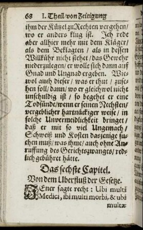 Das sechste Capitel. Von dem Uberfluß der Gesetze.
