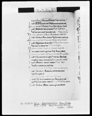 Evangeliar aus St. Pantaleon, Köln — Capitulare-Seite, Folio fol. 222v