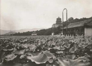 Peking, China. Blick über den Lotosteich (Kunming-See) auf den Neuen Sommerpalast (seit 1998 UNESCO-Weltkulturerbe) und den Berg Wan Shou Shan ("Berg der 10000 Zeitalter" oder "Berg des langen Lebens"), hinten links Edelsteinpagode