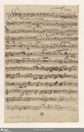 Viola. [transp.]