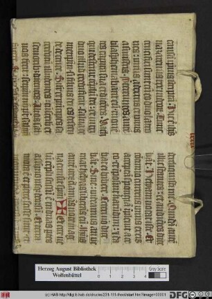Defensio Scholastico-Theologica Fidei Verae Catholicae: Adversus Erroneas Assertiones, Ex Universa Theologia Pontificia depromptas : Quas Sub Praesidio Petri Roestii Jesuitae, M. Theodoricus Warinus, In Academia Molshemensi, Anno MDCXVIII. Ad Defendendum Assumpsit