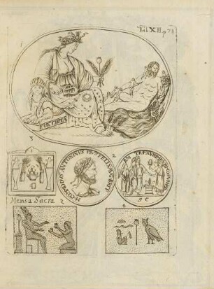 Abbildung: Tab. XII. p. 78