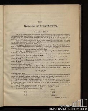 Beilage I. Betriebsplan und Ertrags-Berechnung