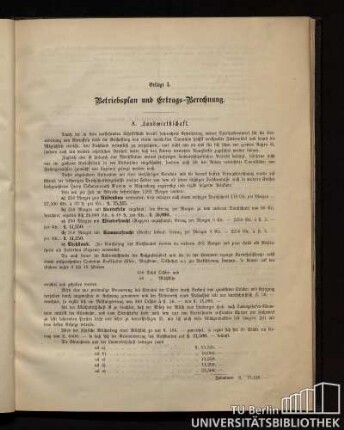 Beilage I. Betriebsplan und Ertrags-Berechnung