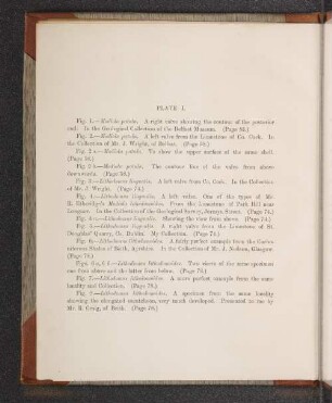 Plate I. - Plate LIV.